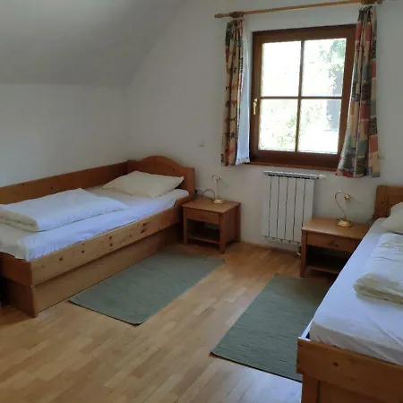 Antela, 142 M2 For 12 Person In Mariborsko Pohorje *