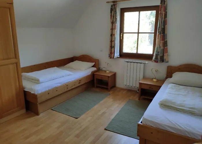 Antela, 142 M2 For 12 Person In Mariborsko Pohorje *